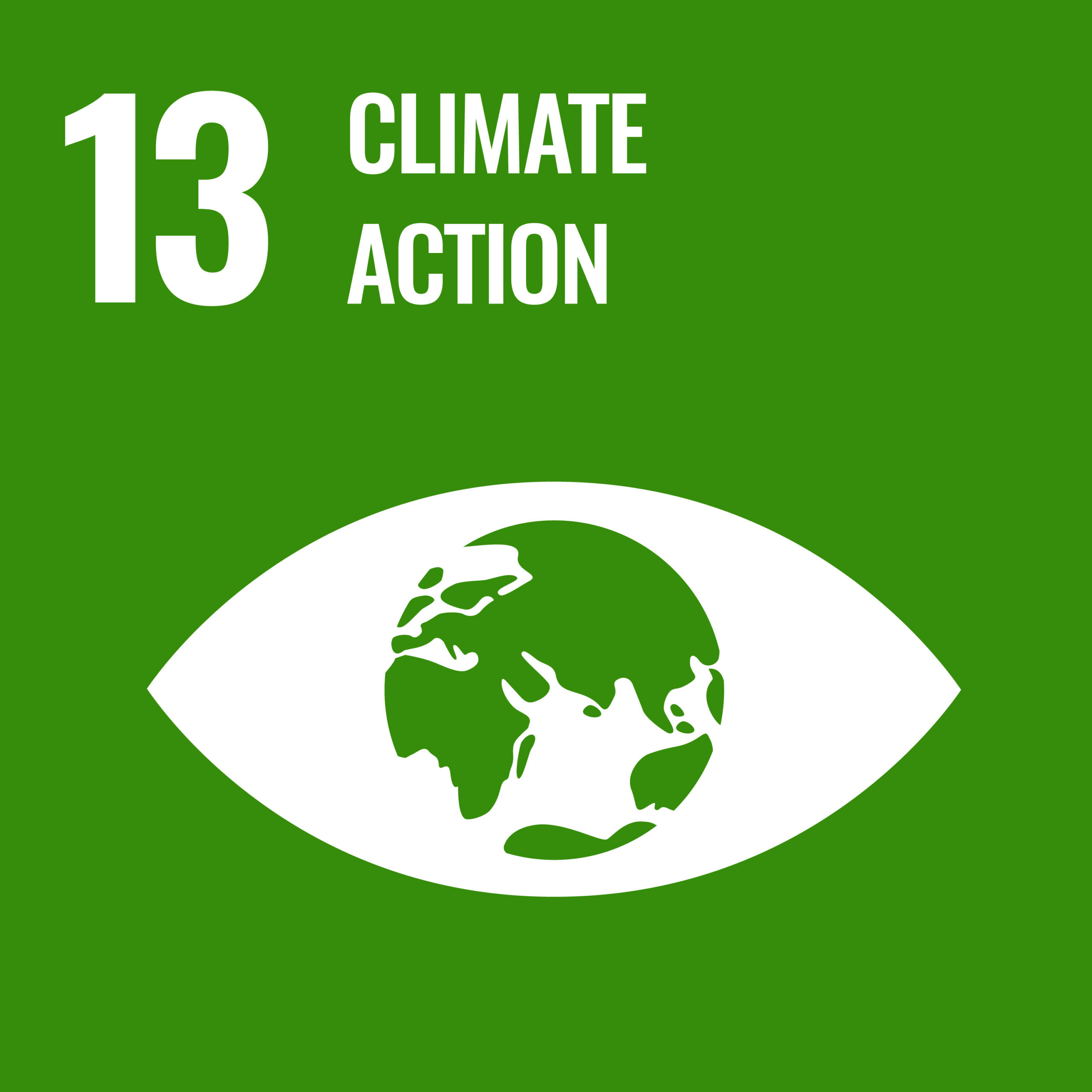 SDG-13-climate-action SDG 13: Climate action
